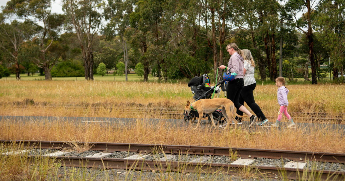 Dog and Cat Management Plan consultation City of Mount Gambier