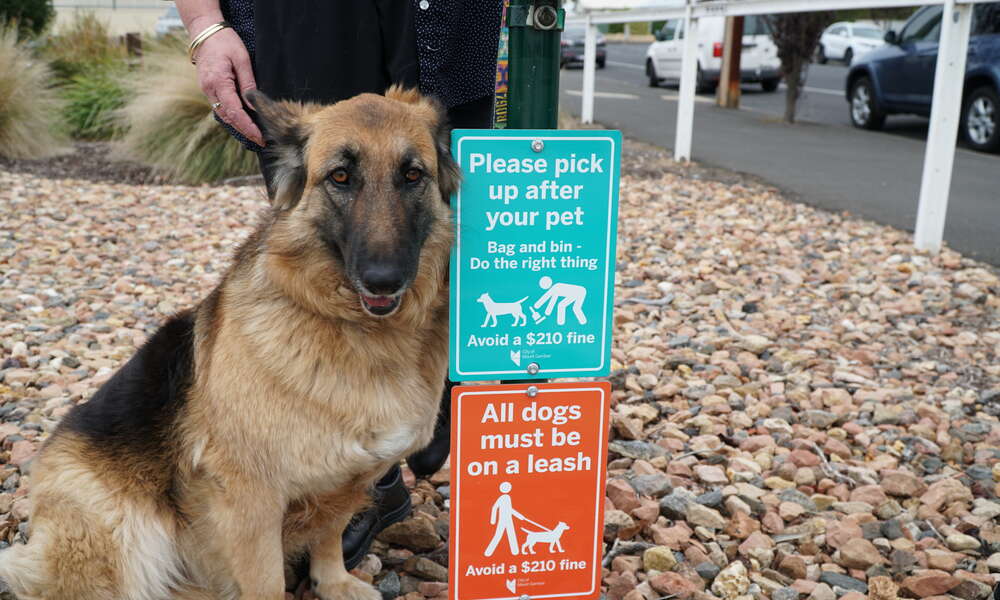 Council is in the process of rolling out new signs (pictured) around popular reserves and open public spaces to remind dog owners of their responsibilities.