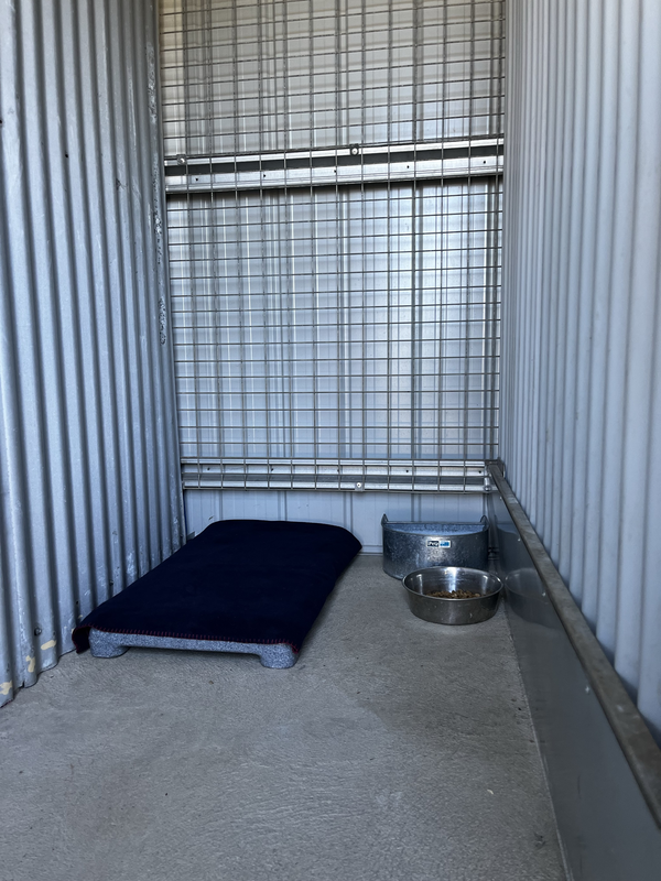 A kennel set up for a dog at Council's impound facility.