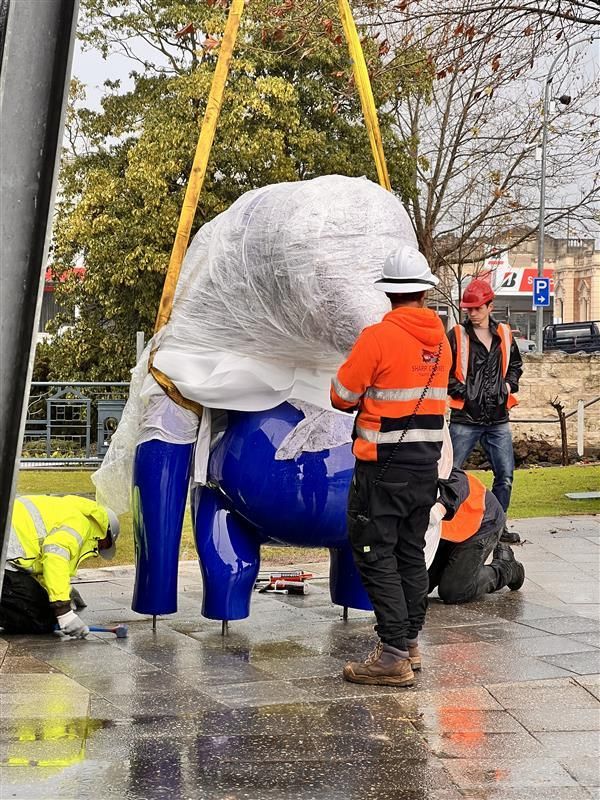 Cast in Blue was craned in to its spot outside the Riddoch Arts and Cultural Centre.