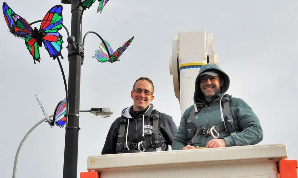 Skunk Control artists Simon Roberts (left) and Nick Athanasiou installing the butterflies.