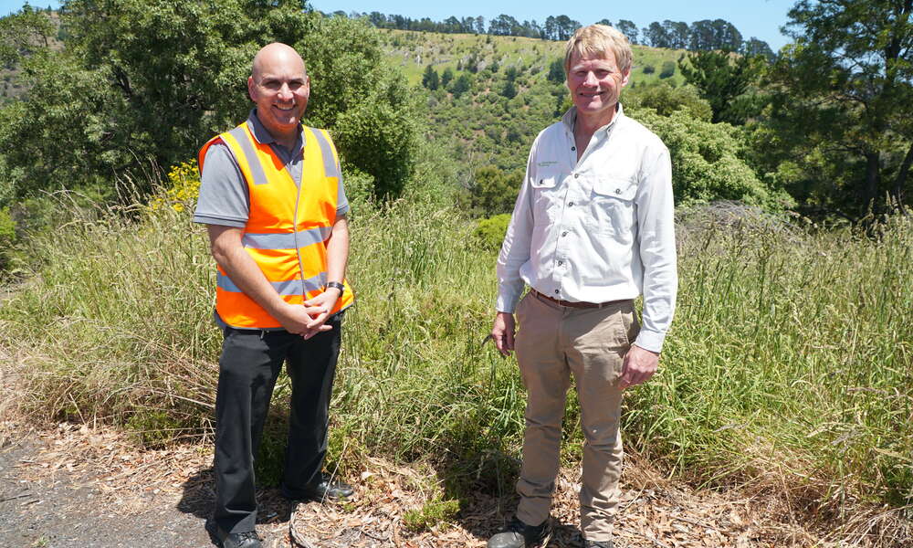City of Mount Gambier Engineering Technical Officer Sinaway Georgiou and Limestone Coast Landscape Board Officer Tony Bullock.