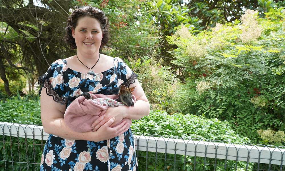 The Young Citizen of the Year Award will be presented to Julia Dangerfield on Australia Day, pictured here with orphaned baby wallaby ‘Panda’.